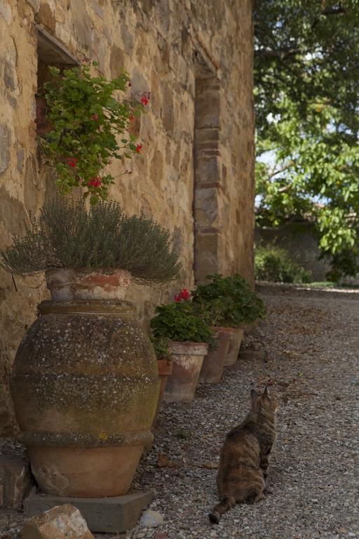 Villa Quercia Al Poggio à Barberino di Val dʼElsa Extérieur photo